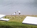 Img0231.jpg